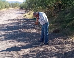 BUSCANDO CORRIENTES DE AGUAS