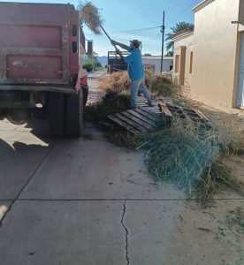 TRABAJOS DE LIMPIEZA Y RECOLECCIÓN DE MALEZA EN EL MUNICIPIO
